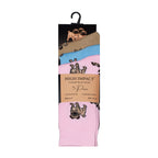 Pug dog women's novelty socks pair flat lay cotton rich UK 4-6.5 Hopoye