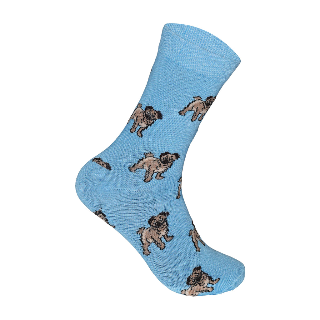 Pug dog design ladies socks multipack 3 6 9 12 pairs UK Hopoye